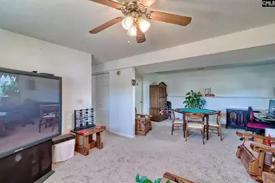 2 Cane Break Court, Columbia, SC 29229 - Photo 24