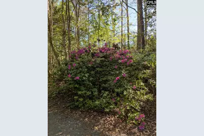 100 Mark I Road, Lexington, SC 29072 - Photo 52
