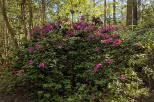 100 Mark I Rd, Lexington, SC 29072 - Photo 52