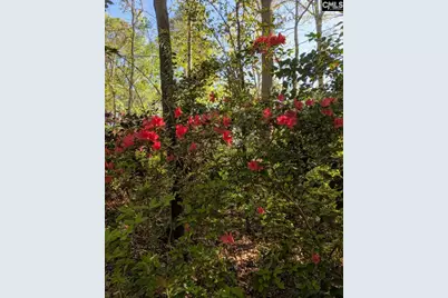 100 Mark I Road, Lexington, SC 29072 - Photo 48