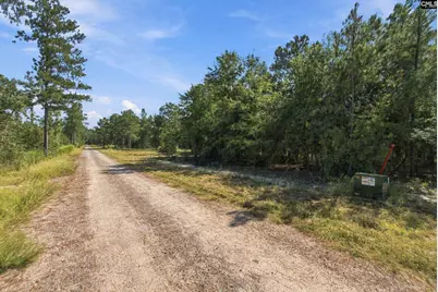 137 Pointers Path #3, Camden, SC 29020 - Photo 4