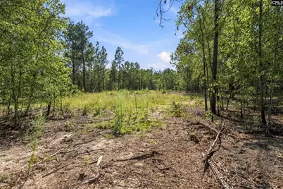 137 Pointers Path #3, Camden, SC 29020 - Photo 8