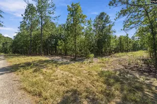 137 Pointers Path, Camden, SC 29020 - Photo 1