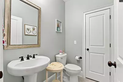 643 Kumatage Lane, Chapin, SC 29036 - Photo 26