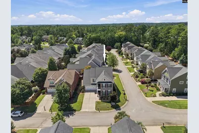 643 Kumatage Lane, Chapin, SC 29036 - Photo 4