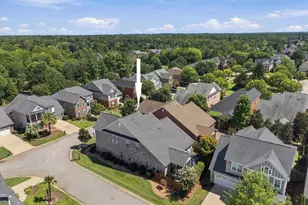 643 Kumatage Ln, Chapin, SC 29036 - Photo 46
