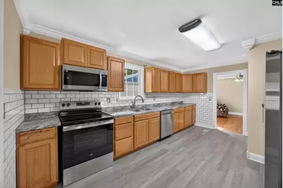 133 Newberg Road, Chapin, SC 29036 - Photo 54