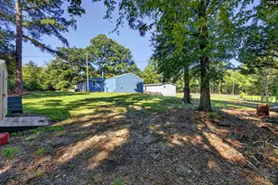133 Newberg Rd, Chapin, SC 29036 - Photo 46