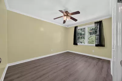 133 Newberg Road, Chapin, SC 29036 - Photo 68