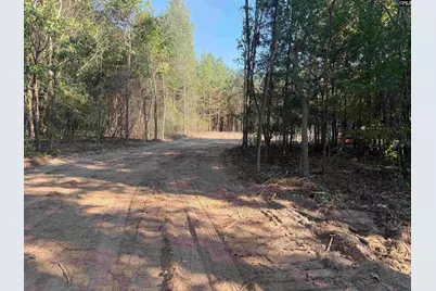 Tbd New Hopewell Road, Hartsville, SC 29550 - Photo 8