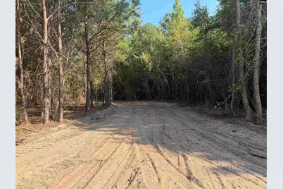 Tbd New Hopewell Road, Hartsville, SC 29550 - Photo 4