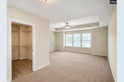 815 Burnview Lane, Chapin, SC 29036 - Photo 12