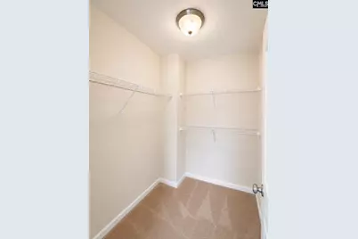 815 Burnview Lane, Chapin, SC 29036 - Photo 20
