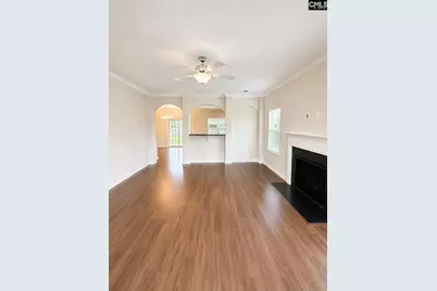 815 Burnview Lane, Chapin, SC 29036 - Photo 4