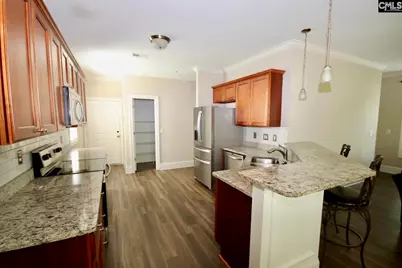 16 Furlong Downs Street, Lugoff, SC 29078 - Photo 12