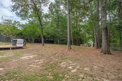 123 Firebranch Street, Columbia, SC 29212 - Photo 22