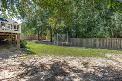582 Village Church Drive, Chapin, SC 29036 - Photo 40