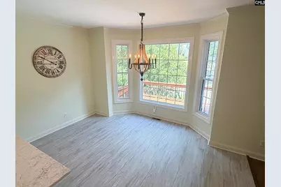 308 Night Harbor Drive, Chapin, SC 29036 - Photo 28