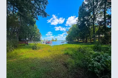 308 Night Harbor Drive, Chapin, SC 29036 - Photo 60
