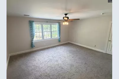 308 Night Harbor Drive, Chapin, SC 29036 - Photo 40