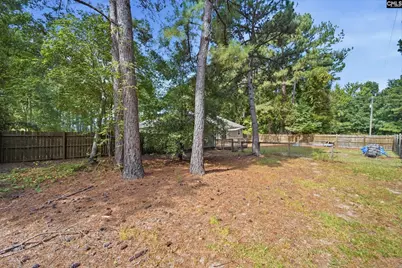 370 Grover Wilson Road, Blythewood, SC 29016 - Photo 32