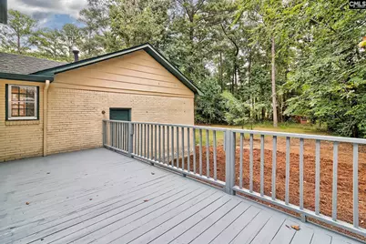 417 White Falls Drive, Columbia, SC 29212 - Photo 8