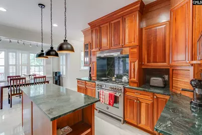 4 Holly Forest Court, Blythewood, SC 29016 - Photo 12