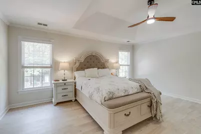 4 Holly Forest Court, Blythewood, SC 29016 - Photo 22