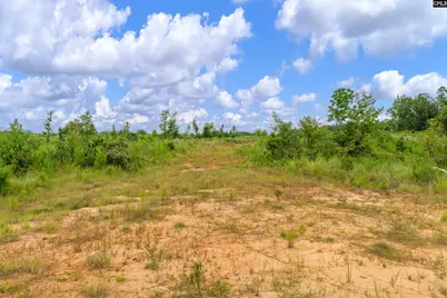 0000 Penner Road 7 #7, Jenkinsville, SC 29065 - Photo 30