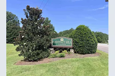 138 Hawks Nest Court, Columbia, SC 29212 - Photo 52