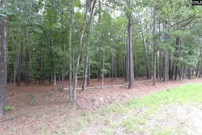 Lot 229 Granny Hill Road #229, Prosperity, SC 29127 - Photo 26