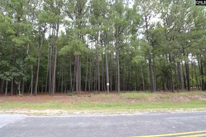 Lot 229 Granny Hill Road #229, Prosperity, SC 29127 - Photo 16