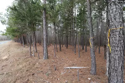Lot 229 Granny Hill Road #229, Prosperity, SC 29127 - Photo 42