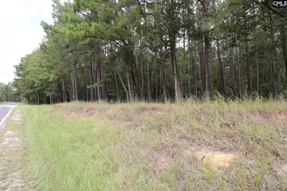 Lot 229 Granny Hill Road #229, Prosperity, SC 29127 - Photo 20