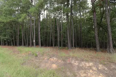 Lot 229 Granny Hill Road #229, Prosperity, SC 29127 - Photo 22