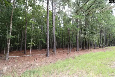 Lot 229 Granny Hill Road #229, Prosperity, SC 29127 - Photo 24