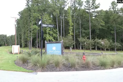 Lot 229 Granny Hill Road #229, Prosperity, SC 29127 - Photo 28