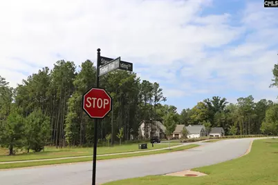 Lot 107 Timber Trail Lane, Prosperity, SC 29127 - Photo 2