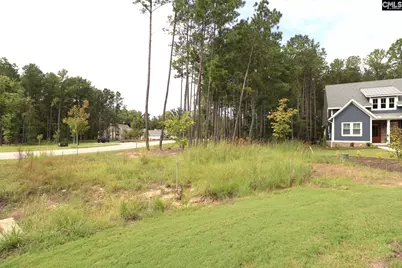 Lot 107 Timber Trail Lane, Prosperity, SC 29127 - Photo 12