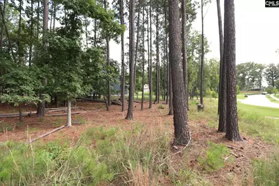 Lot 107 Timber Trail Lane, Prosperity, SC 29127 - Photo 34