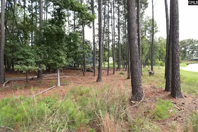 Lot 107 Timber Trail Lane, Prosperity, SC 29127 - Photo 32