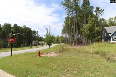 Lot 107 Timber Trail Lane, Prosperity, SC 29127 - Photo 8