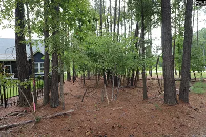 Lot 107 Timber Trail Lane, Prosperity, SC 29127 - Photo 18