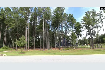 Lot 107 Timber Trail Lane, Prosperity, SC 29127 - Photo 36
