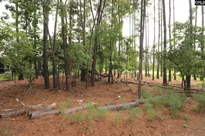 Lot 107 Timber Trail Lane, Prosperity, SC 29127 - Photo 20