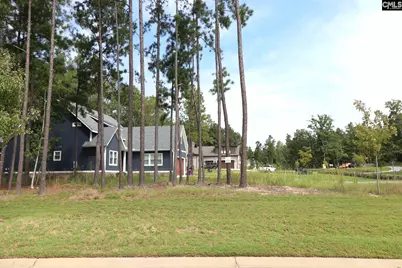 Lot 107 Timber Trail Lane, Prosperity, SC 29127 - Photo 38