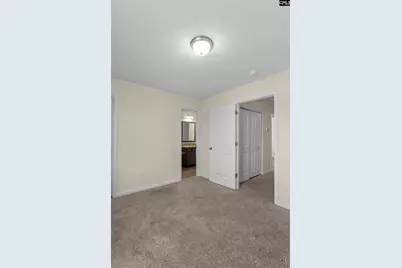 226 Gum Swamp Trail, West Columbia, SC 29169 - Photo 34