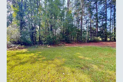 125 Bayfield Lane, Chapin, SC 29036 - Photo 12