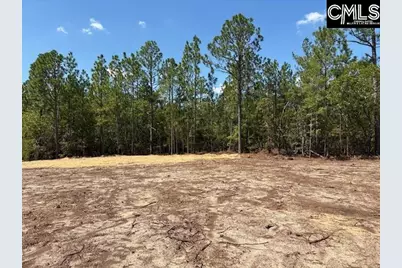 331 Windsong Lane, Pelion, SC 29123 - Photo 18