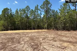 331 Windsong Ln, Pelion, SC 29123 - Photo 18